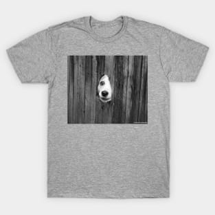 Dog in the Hole T-Shirt